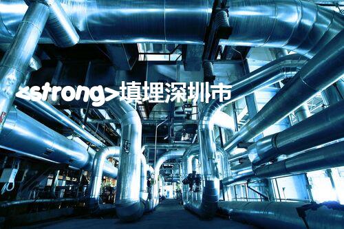 <strong>填埋深圳市危險(xiǎn)廢物處理站有限公司化工設(shè)施安全解體：如何高效處理復(fù)雜工業(yè)遺留問題？</strong>